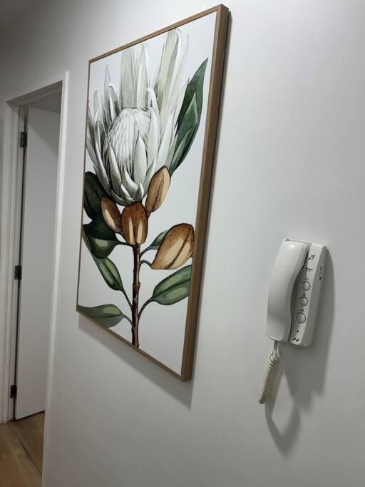 Stunning 3 Bd - 2 Bth City Apt - Pool & Carpark Оукланд Екстериор снимка