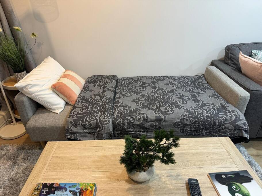 Stunning 3 Bd - 2 Bth City Apt - Pool & Carpark Оукланд Екстериор снимка